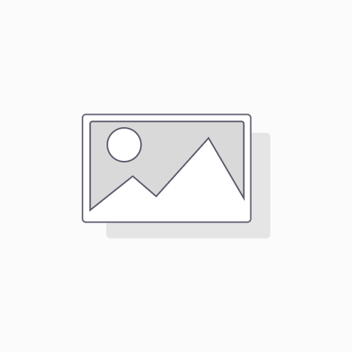 CHURRO DIANA TOCINITO